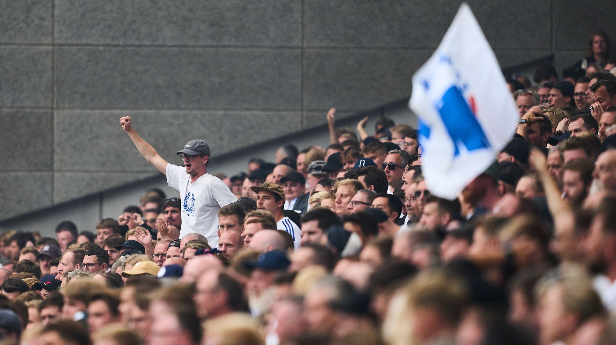 Fans i Parken