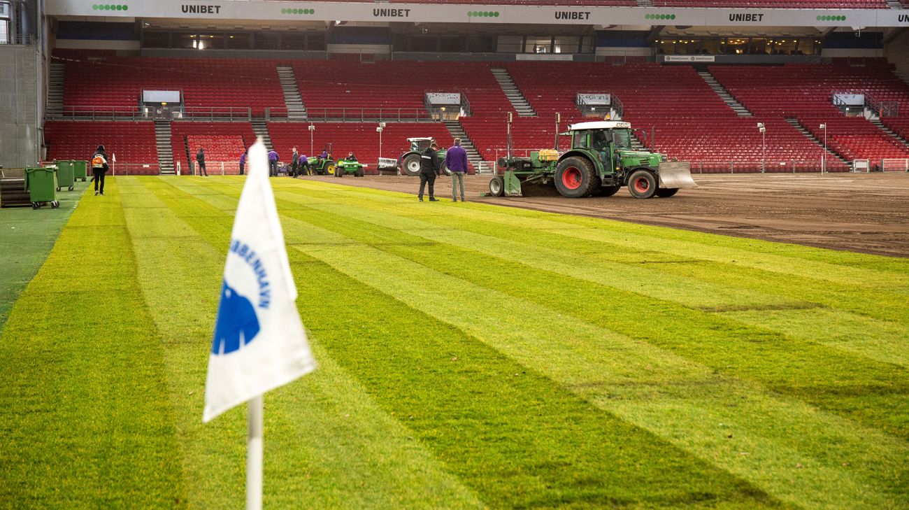 Parken får nyt græs